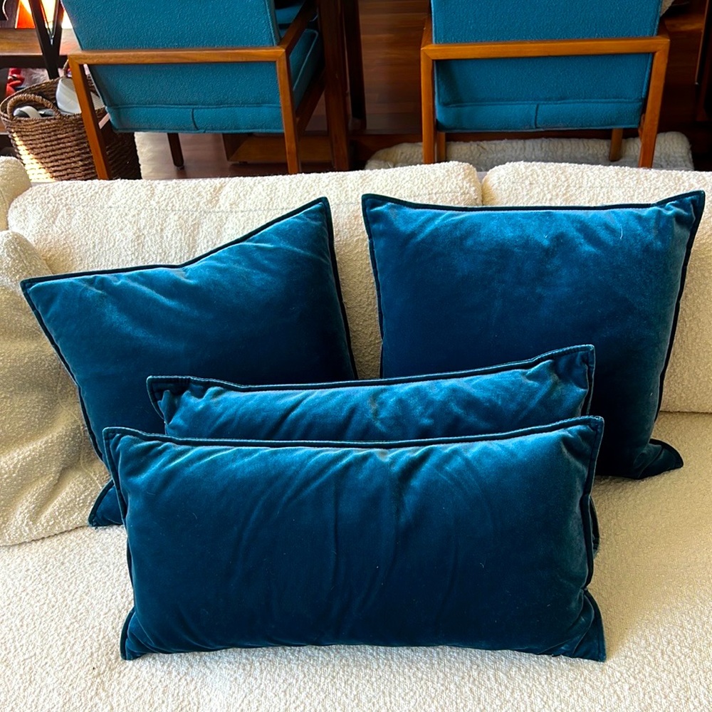 Blue Pillows with Down Insert by Sandro